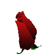 edenroosbew.gif